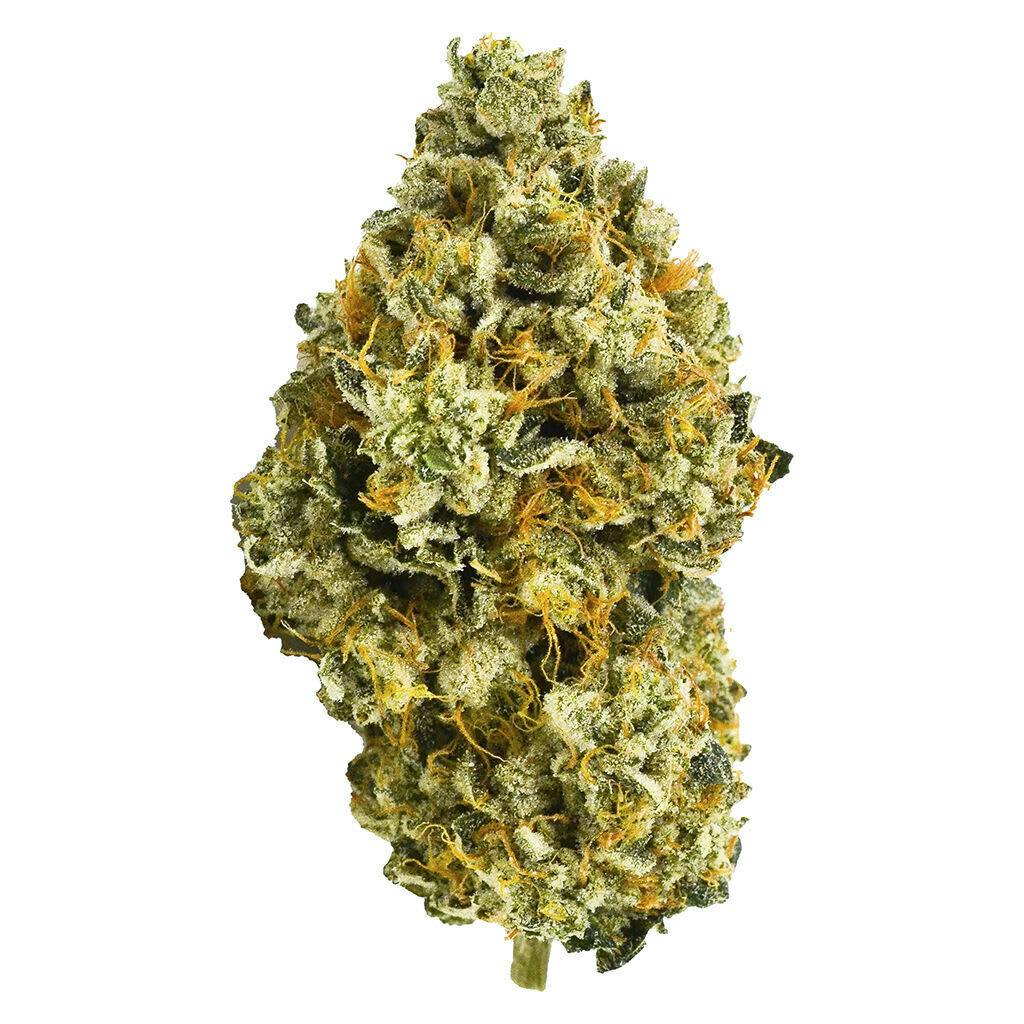 Medellin 7g Dried Flower