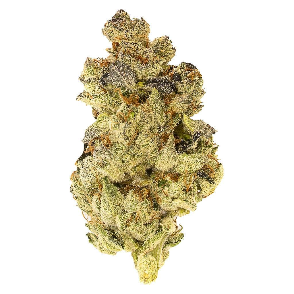 Mosa Orange Punch 3.5g Dried Flower