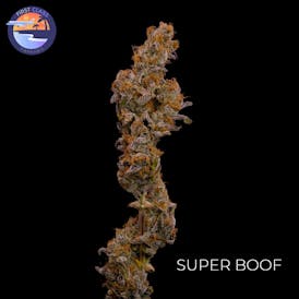 Super Boof ~ First Class Cannabis