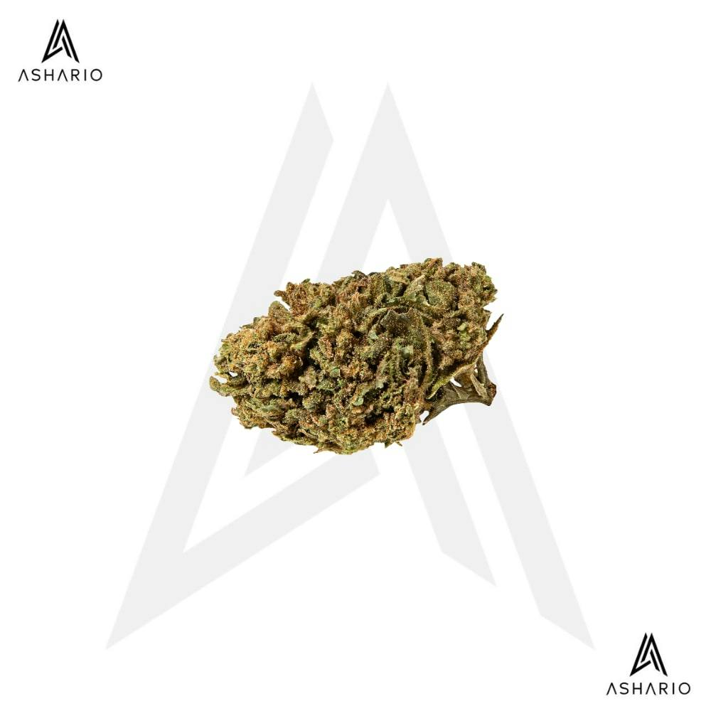 Premium CBD | 14g