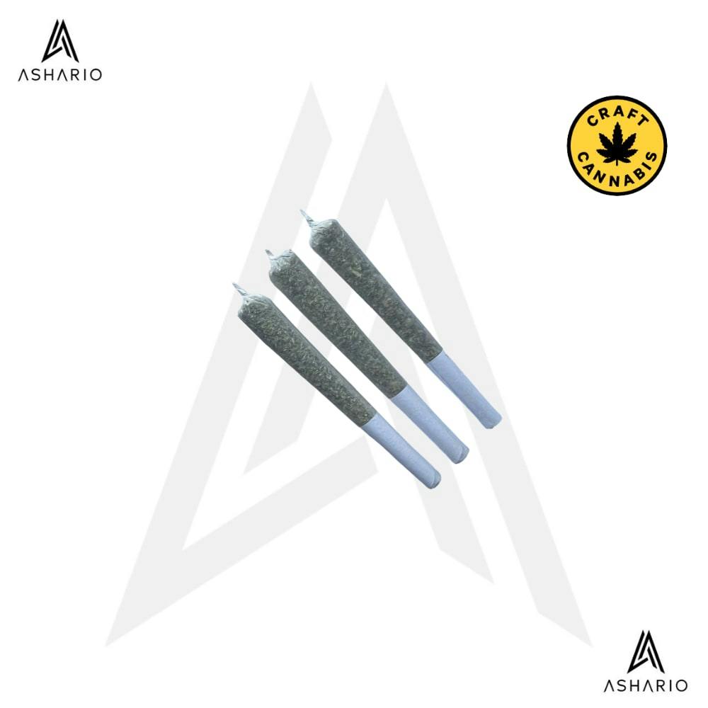 Frost Mints | 3x0.5g