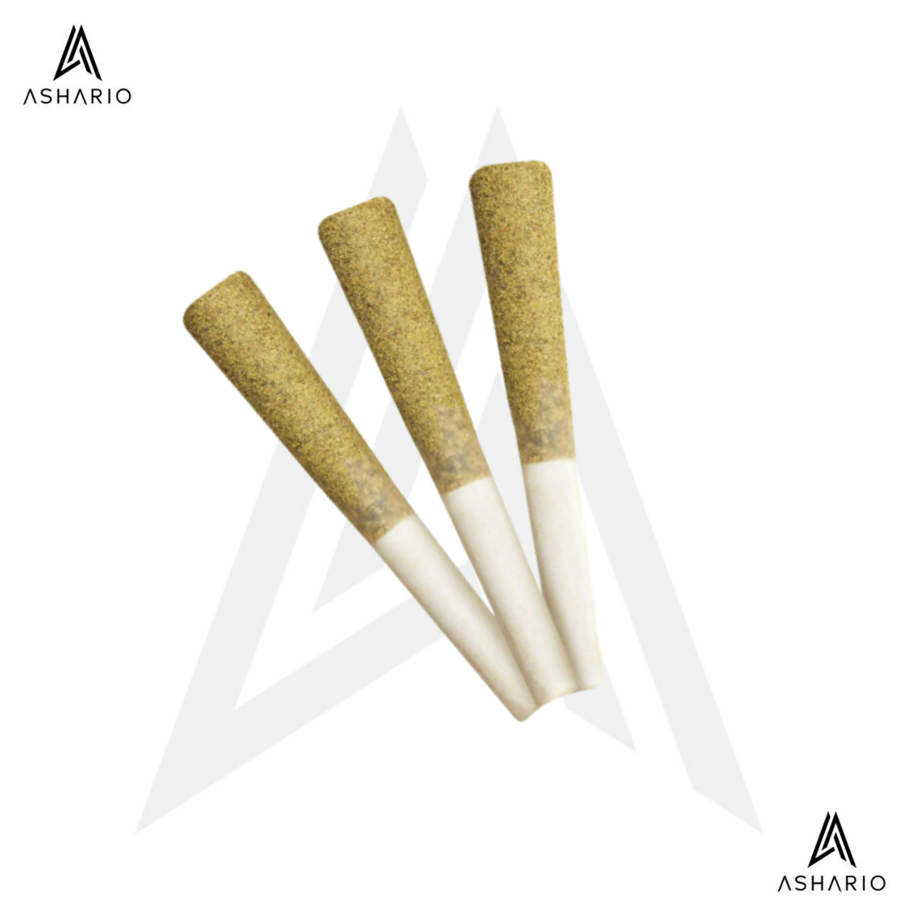 Northern Lights | 3x0.5g