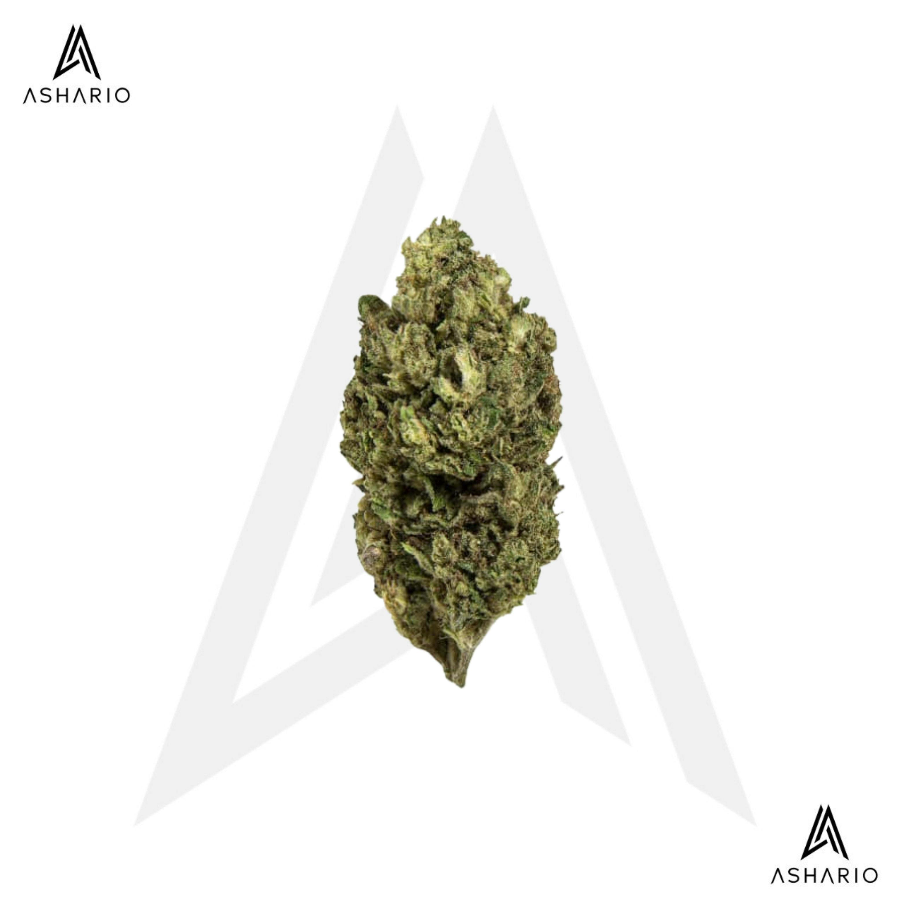 Premium CBD | 28g