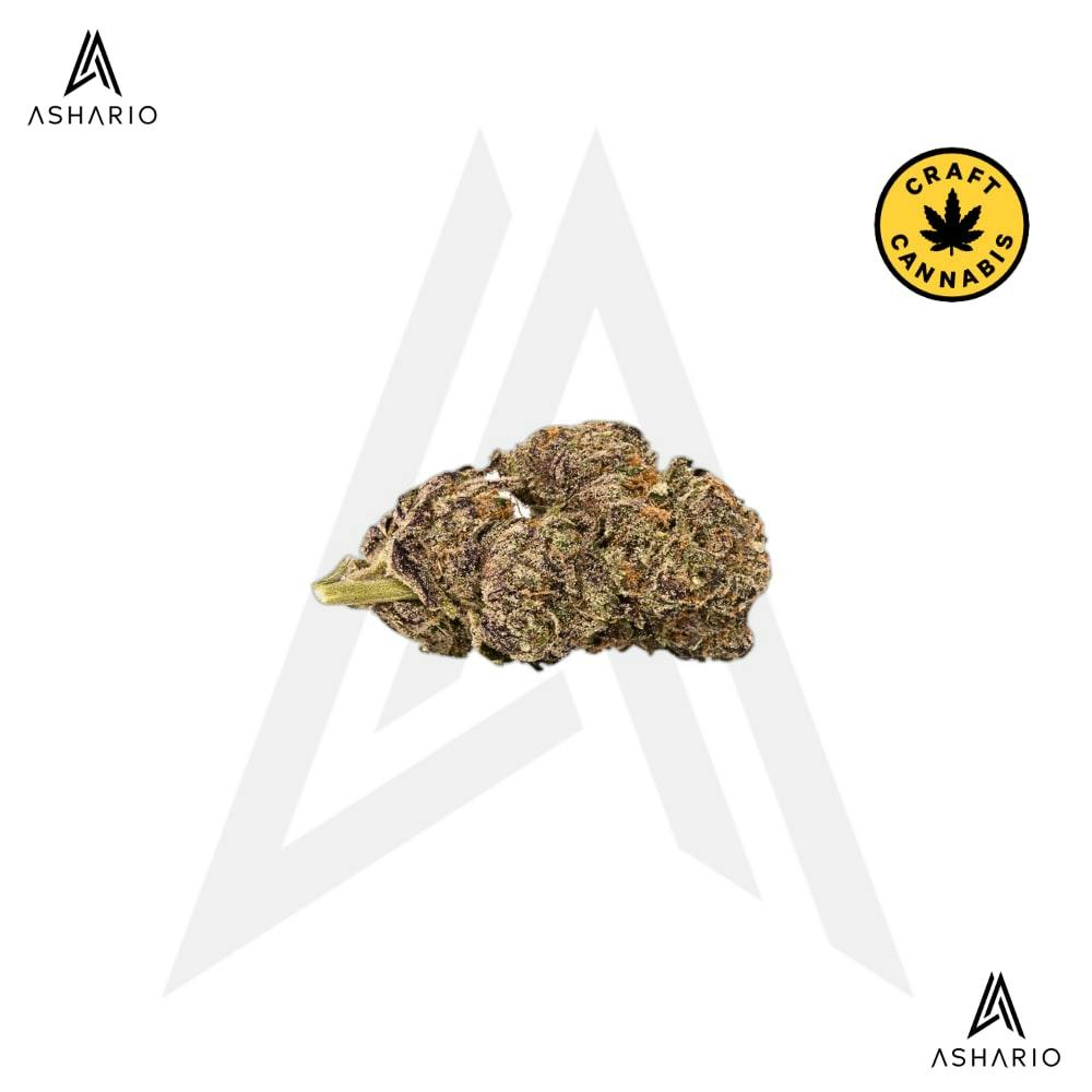 Blueberry Yum Yum | 3.5g