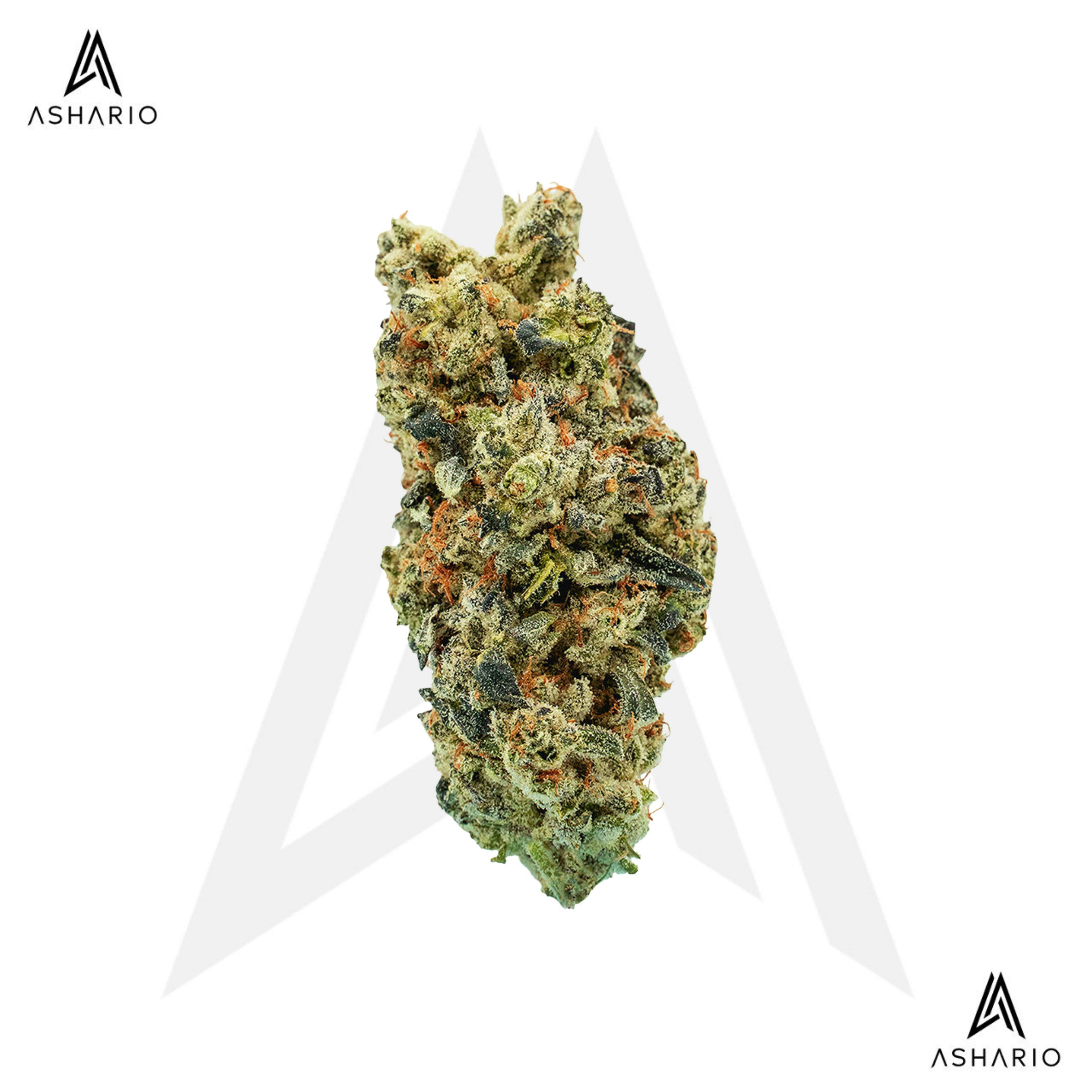 Wes' Coast Kush | 28g