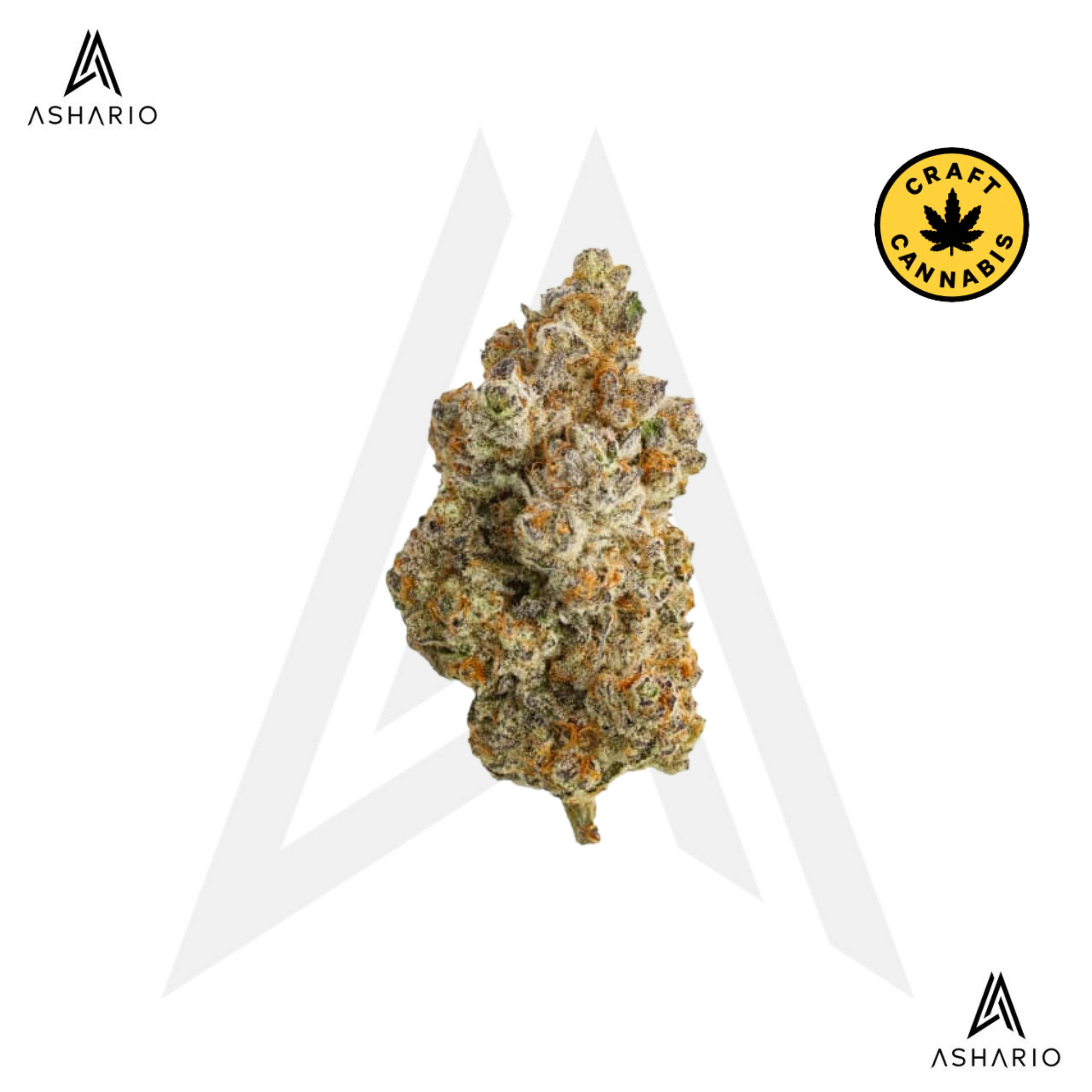 Frost Monster | 14g