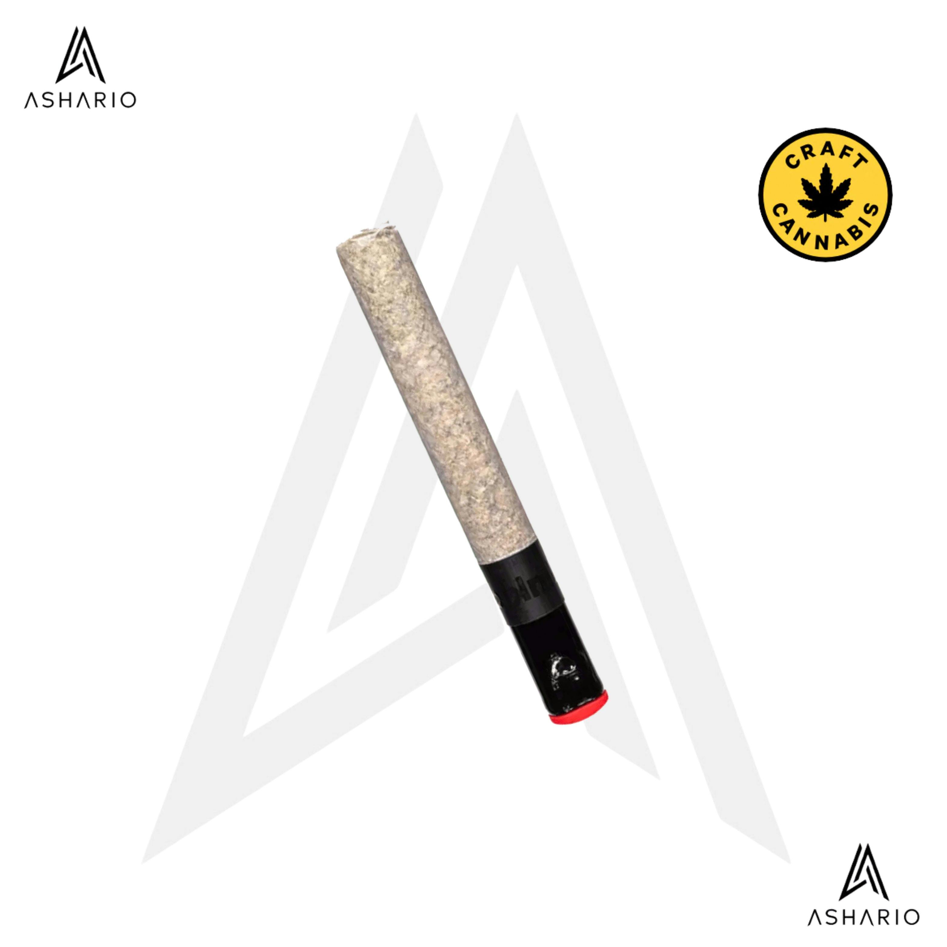 The Magnum | 1x1.5g