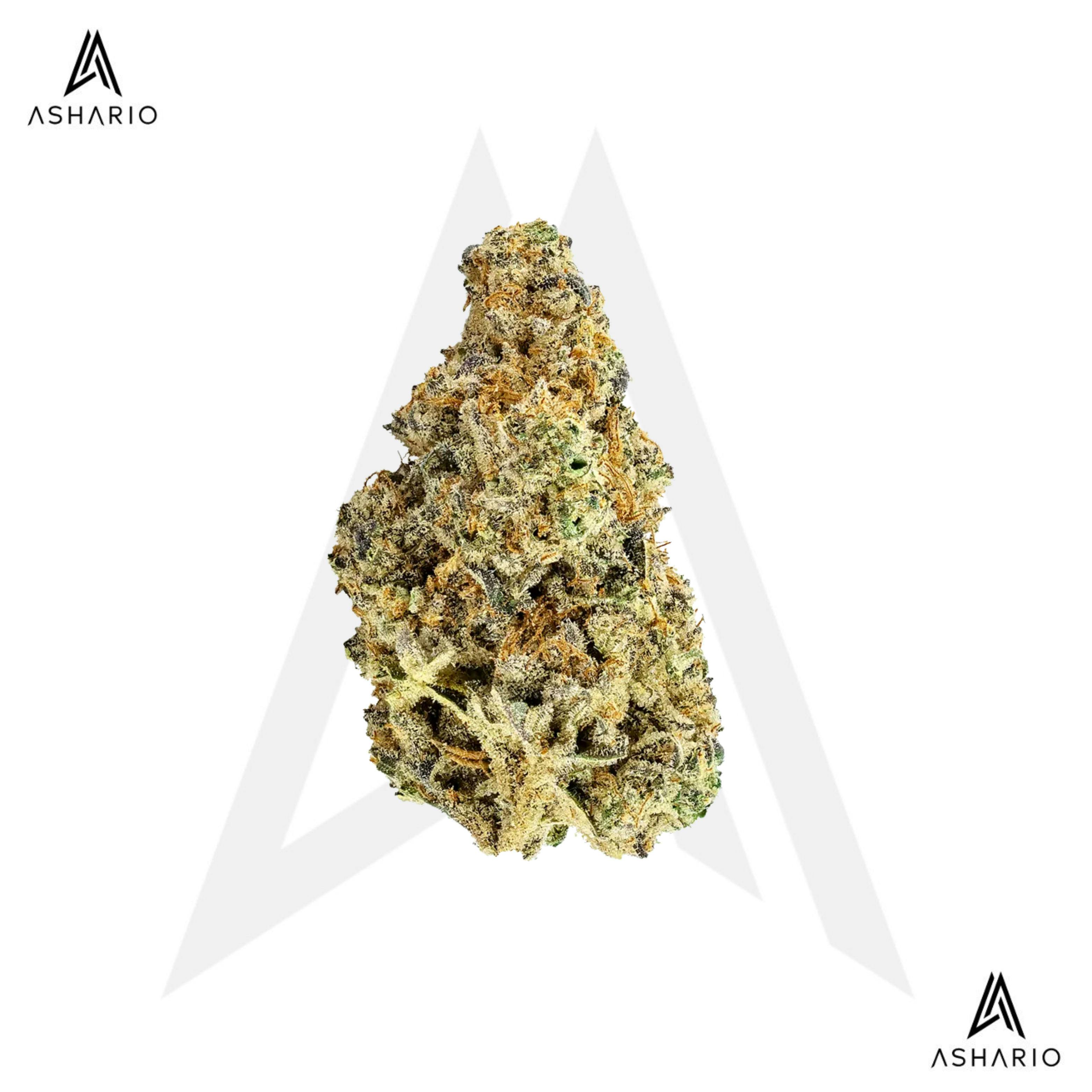 East Coast Flamingo | 3.5g