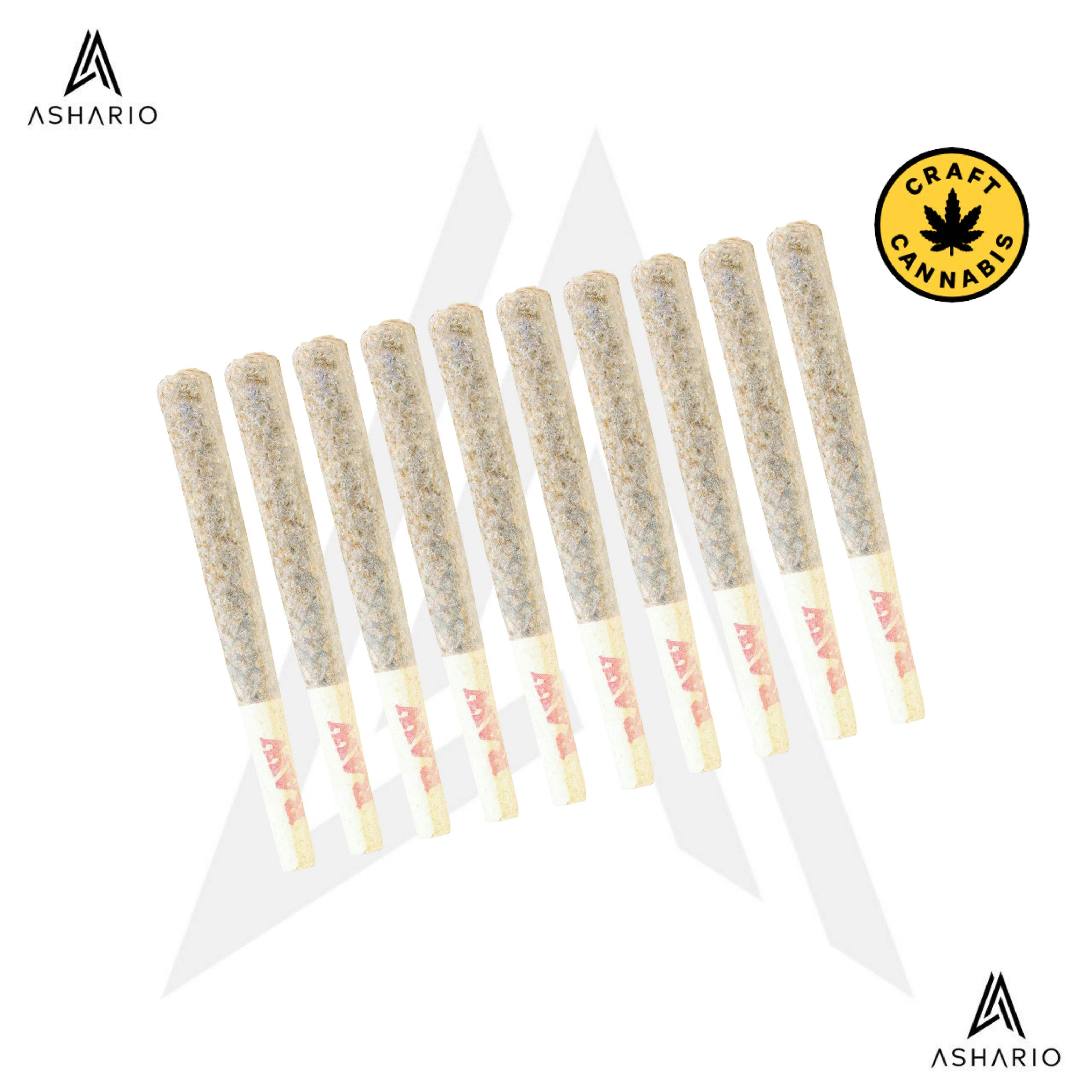 Britscotti | 10x0.5g