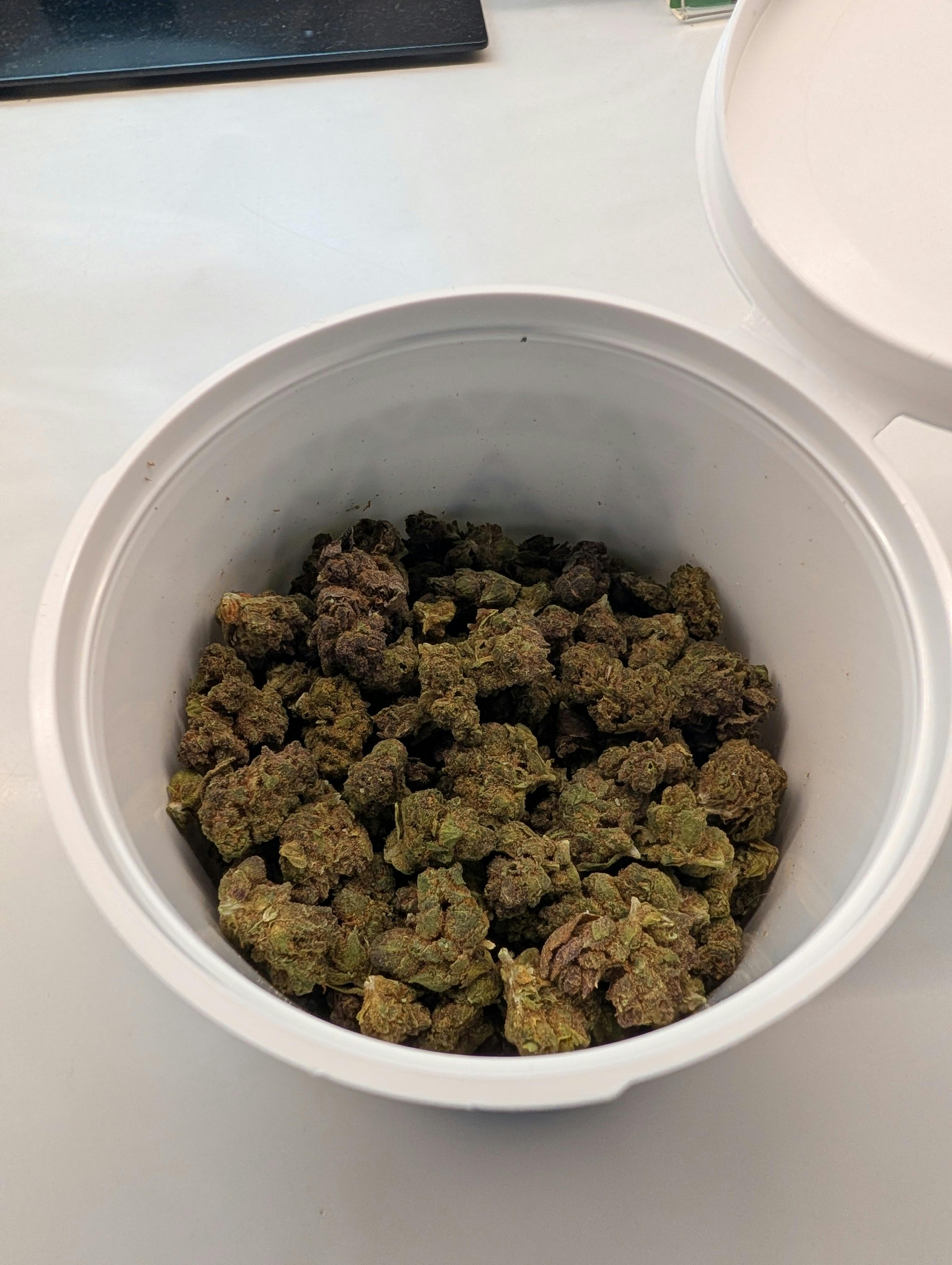 Runtz x Zero Gravity Popcorn 28g (Canna Stix)