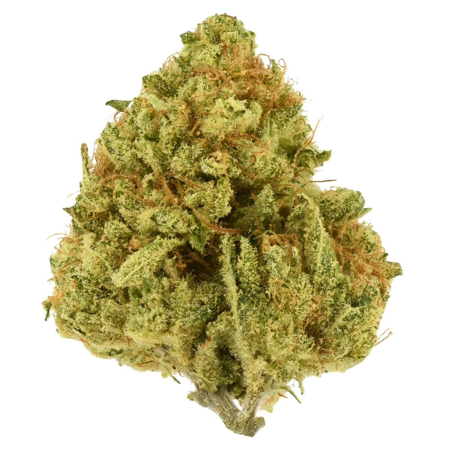 Releaf Farms | Jackalope