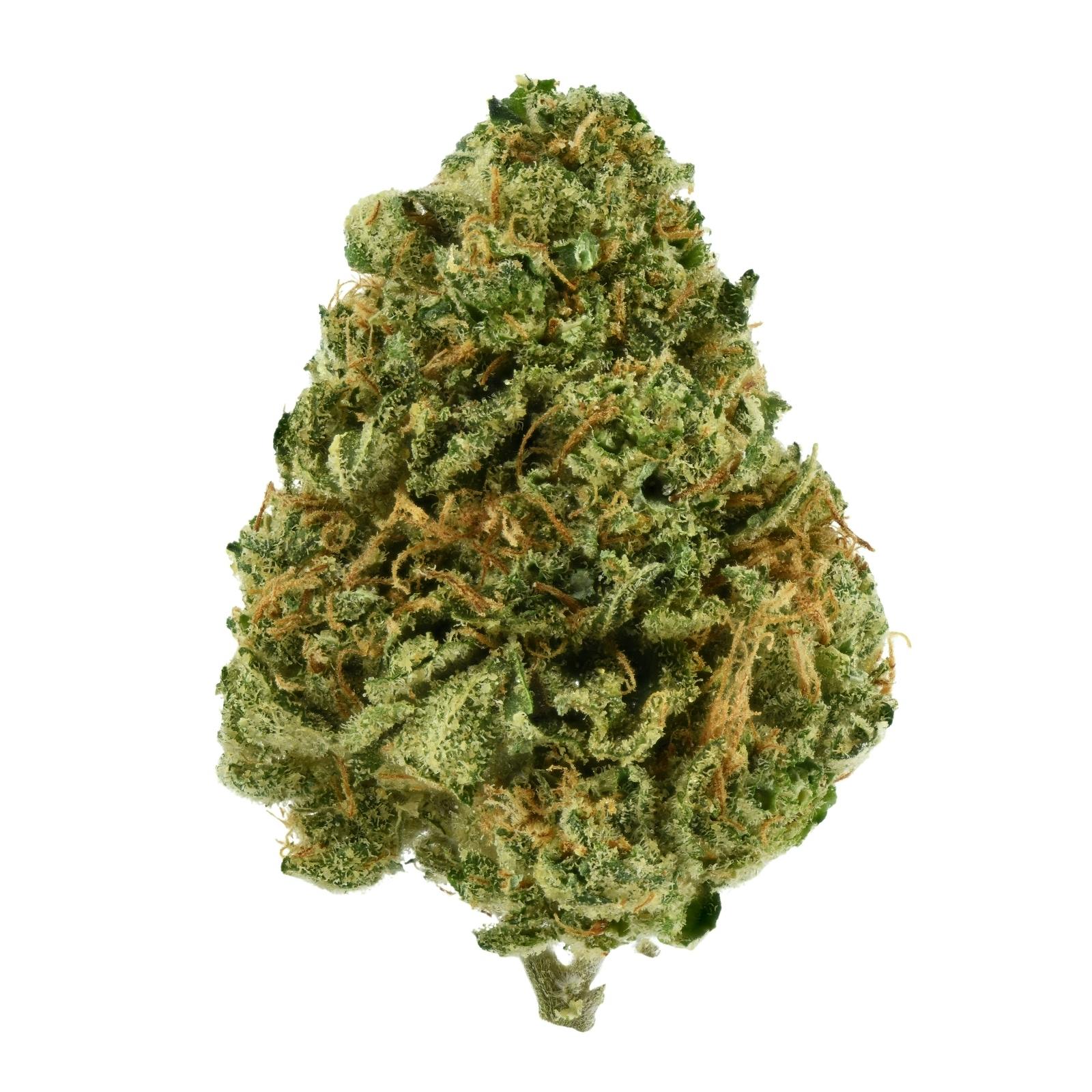 Releaf Flower - Kauai Crip at Desert Bloom Re-Leaf Center