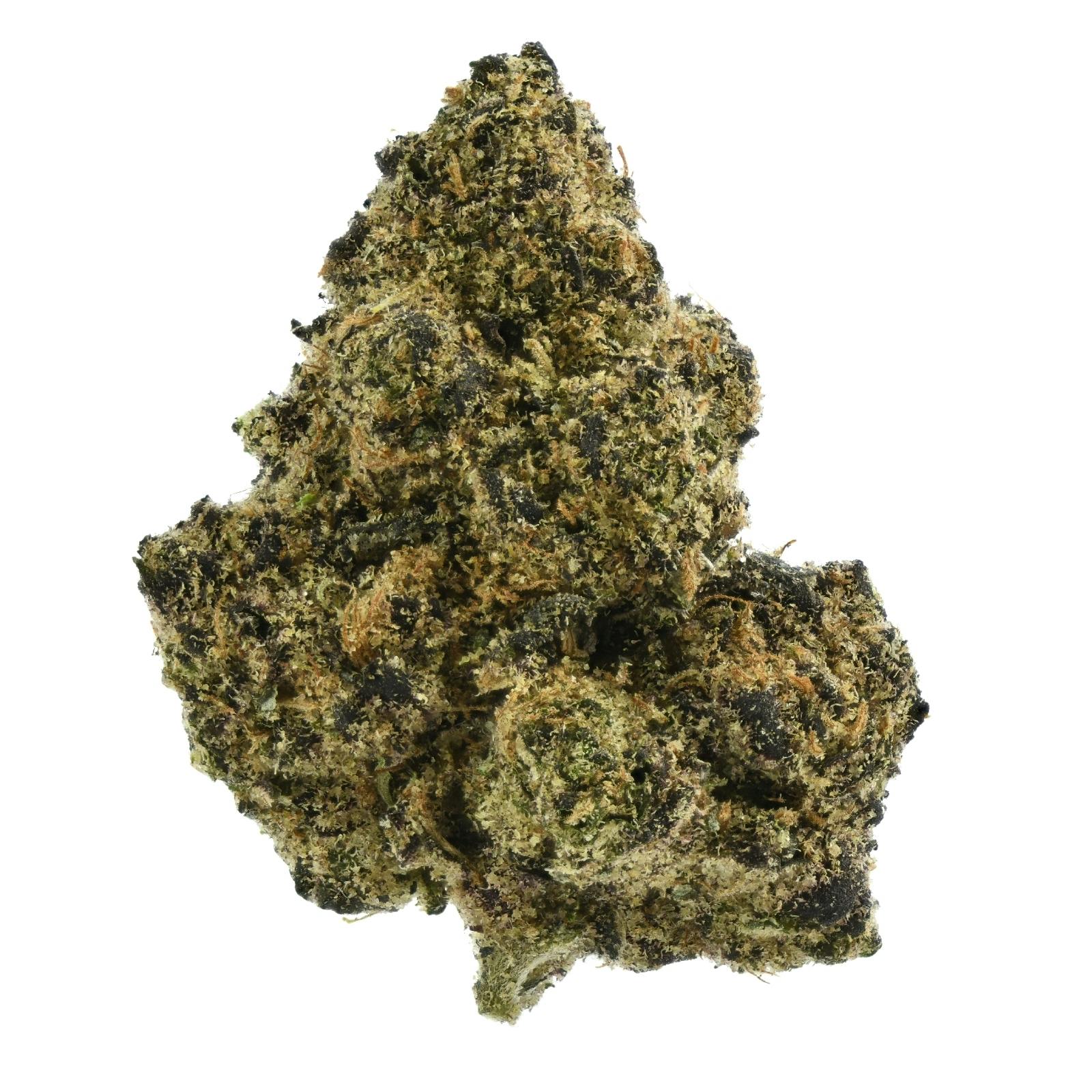 Cannabish | Hash Burger
