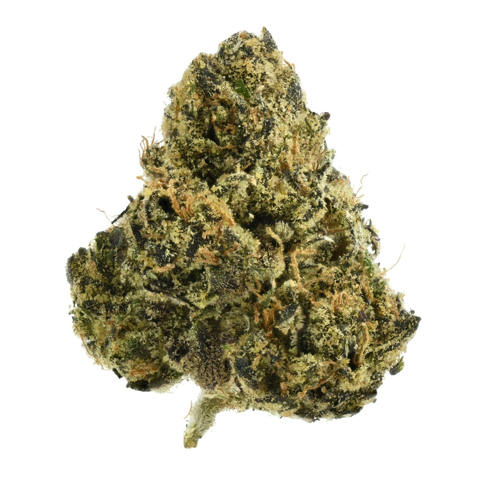 Cannabish - G.P.R. at Releaf 85624