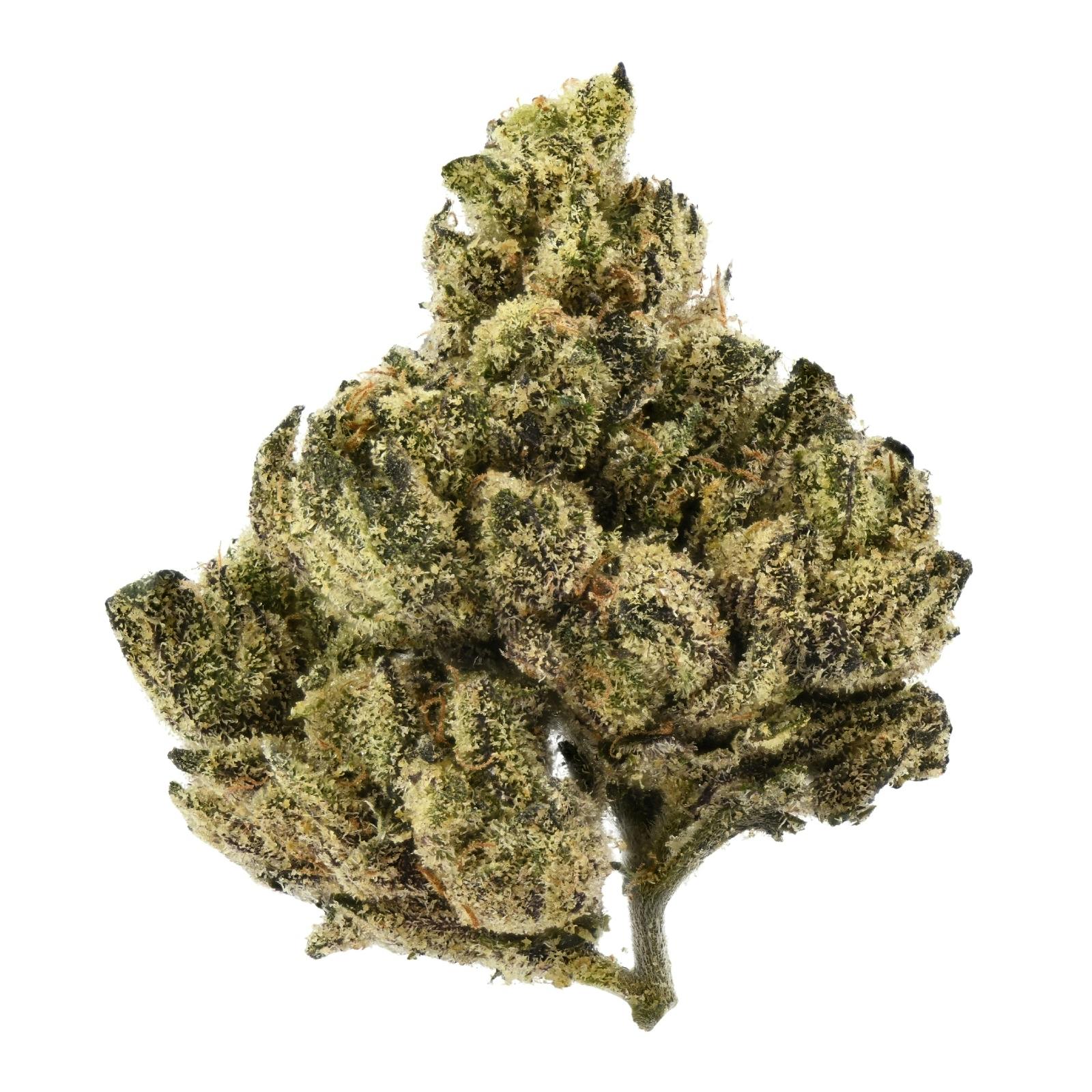 Cannabish | Zeclair Candy