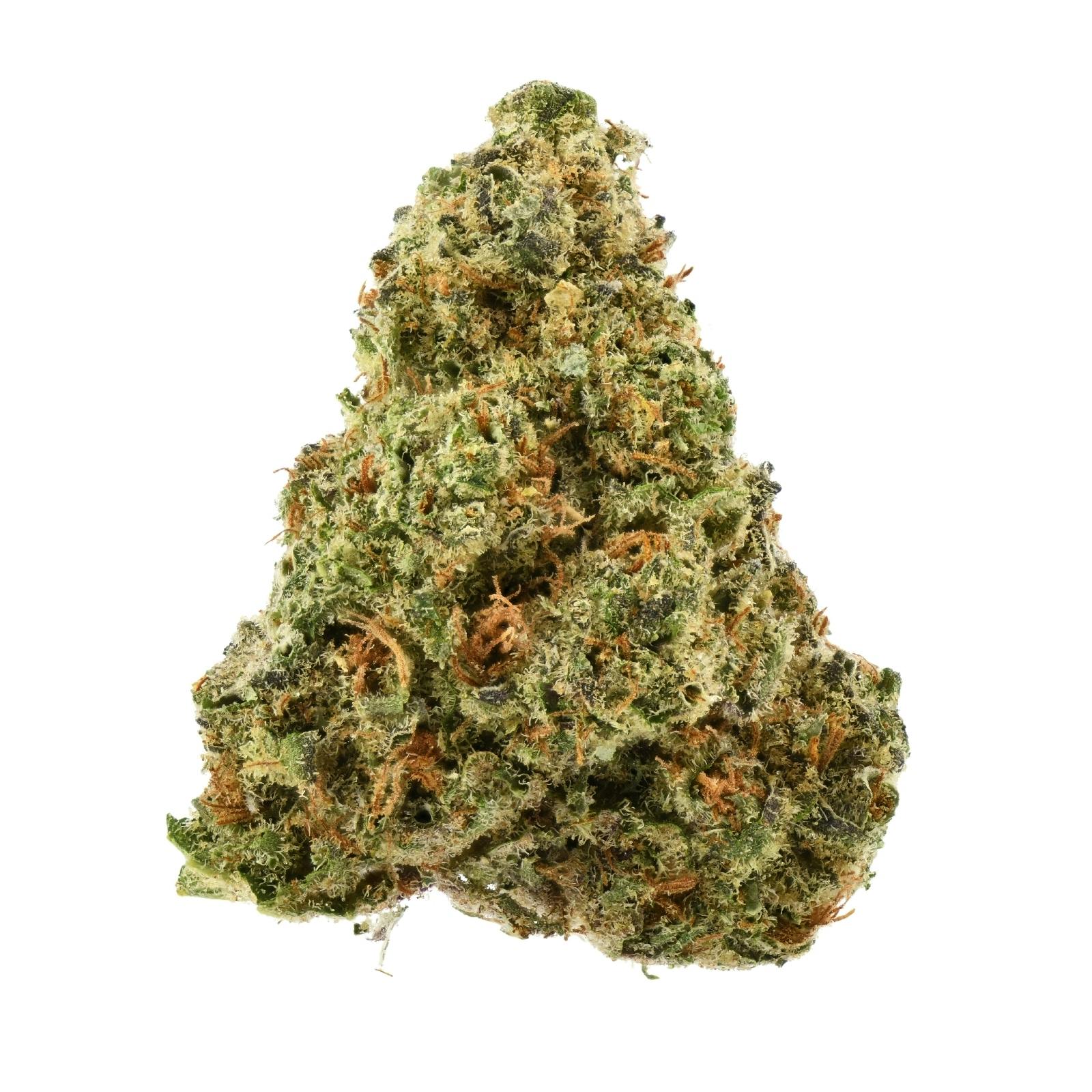 PJP Flower | Peach Lemonade