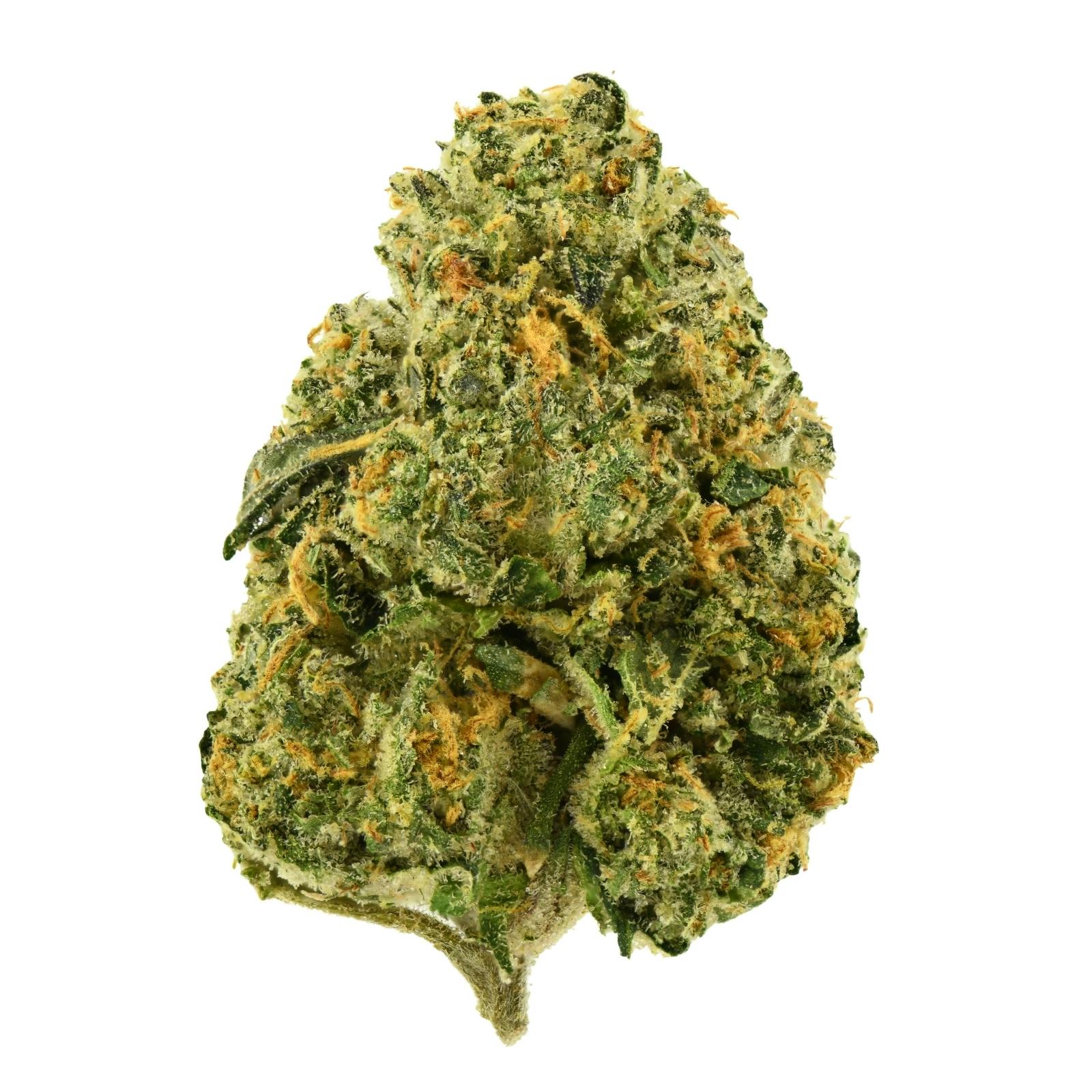 PJP Flower | Lemon Loaf