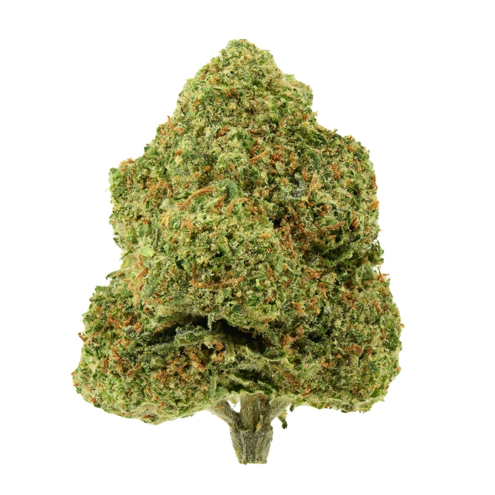 Grannys Flower | Cap City