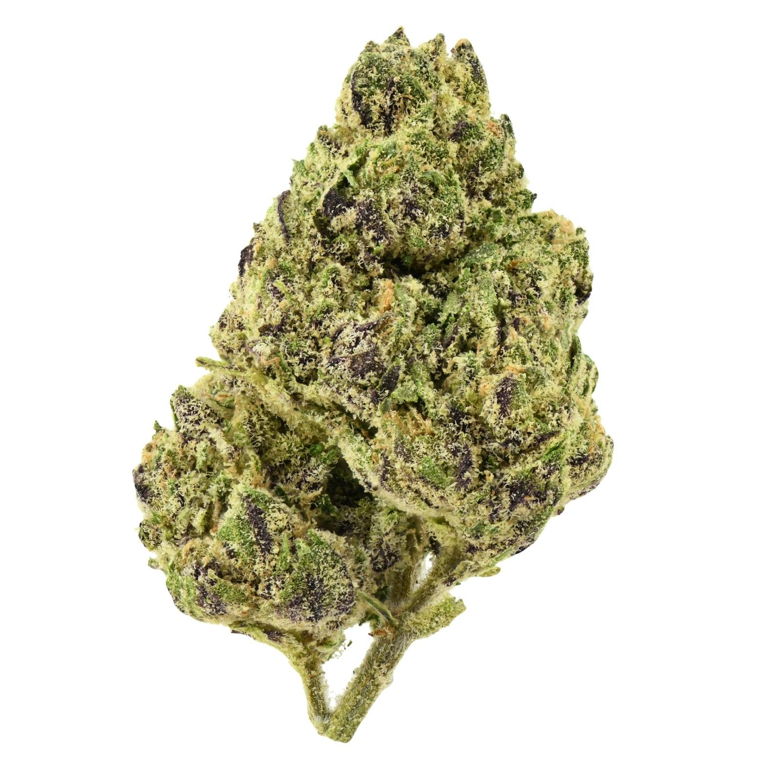 Grannys Flower | Oakland RTZ at Releaf 85624