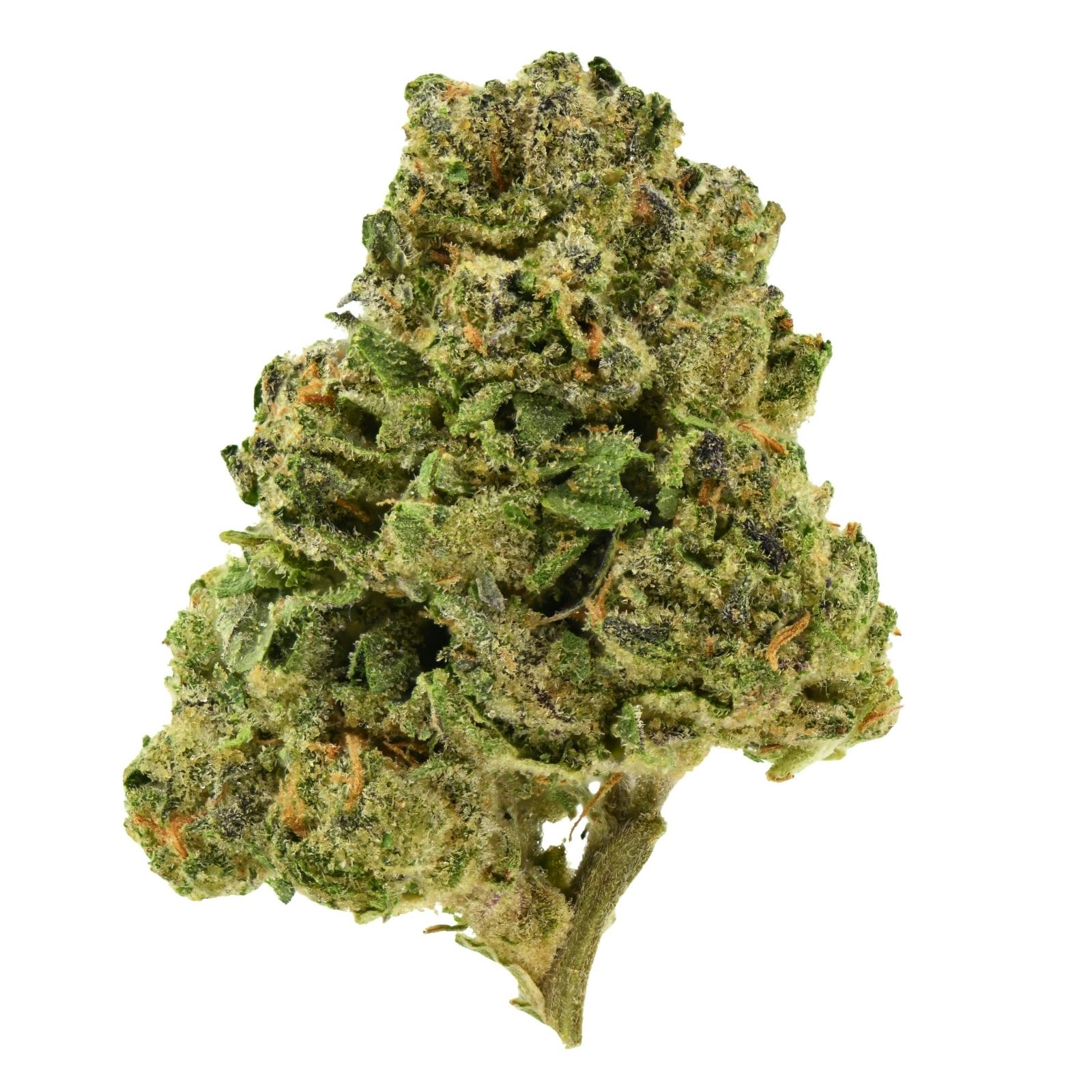 Grannys Flower | Stoney Hawk at Releaf 85624