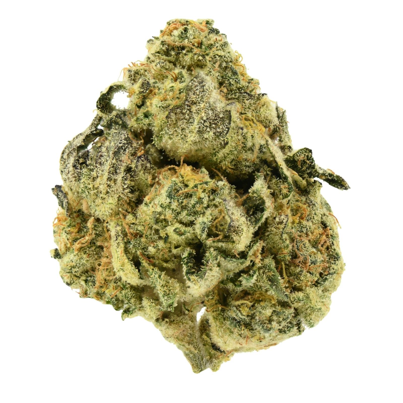Cannabish - Biscotti Mintz