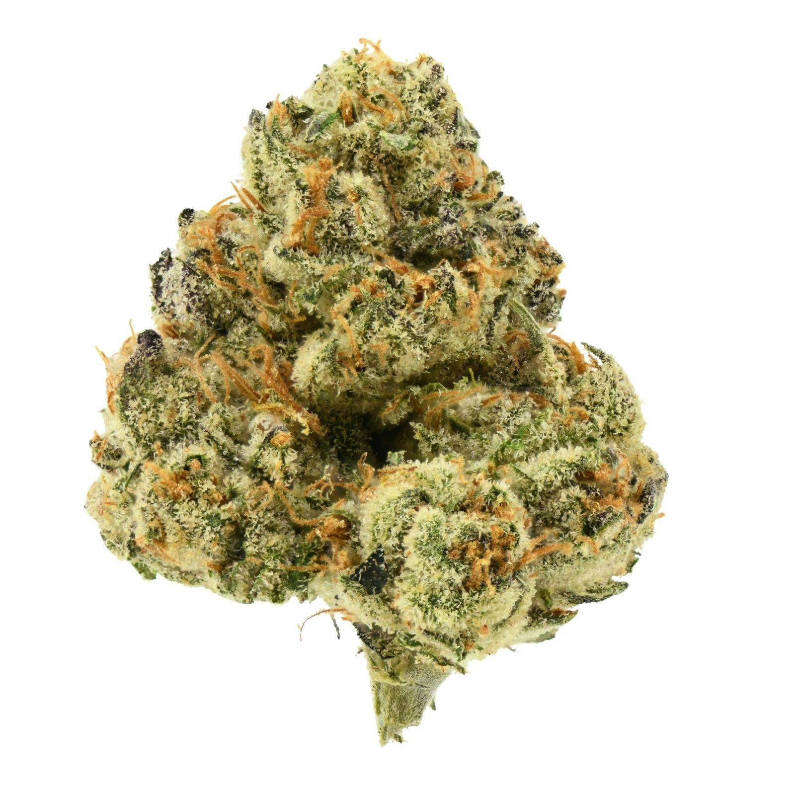 Cannabish | Jifflato #13 at Releaf 85624