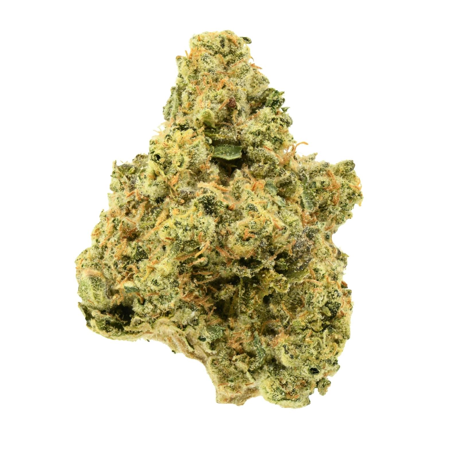 Cannabish | Motor Breath #15 at Releaf 85624