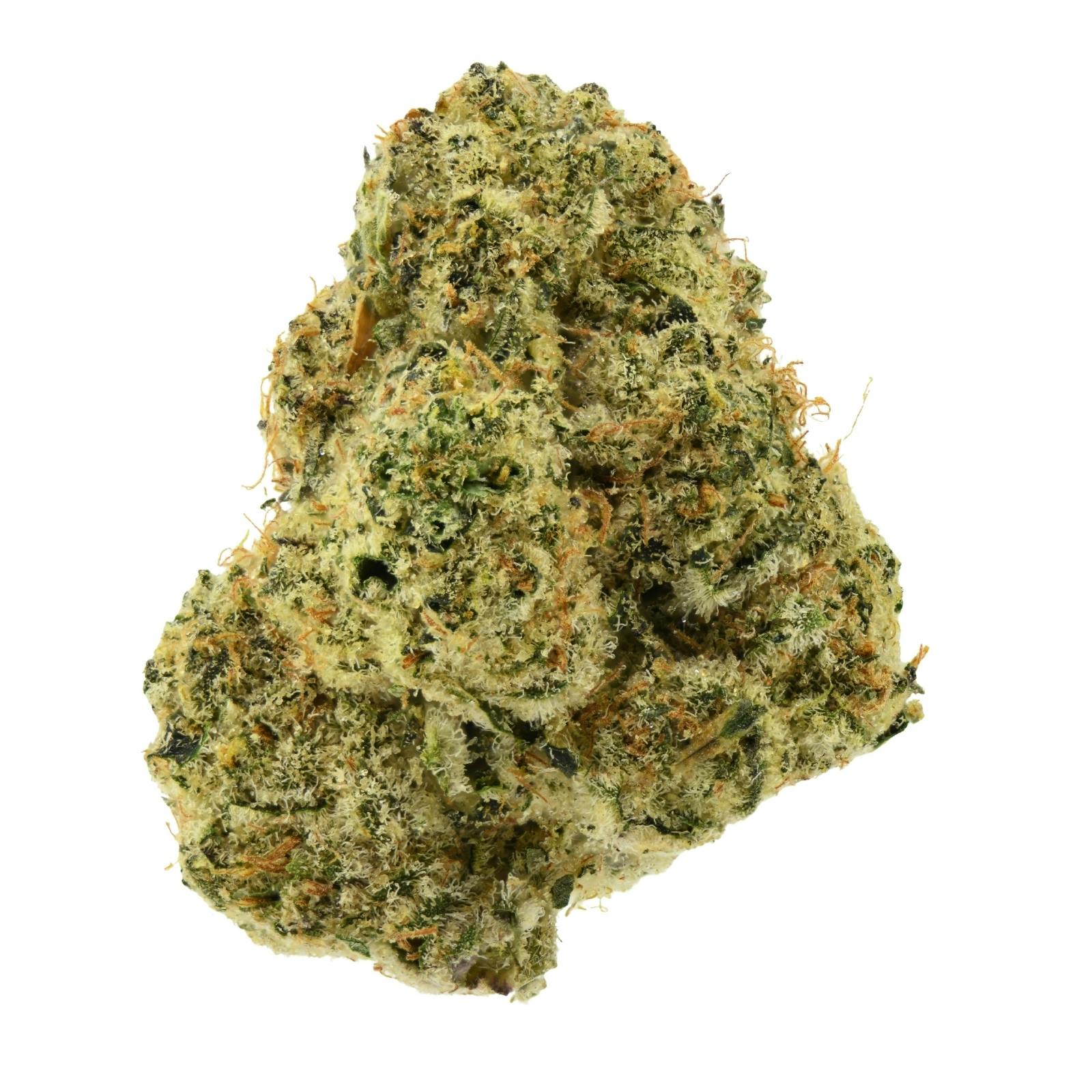 Cannabish | Pack Mule #4