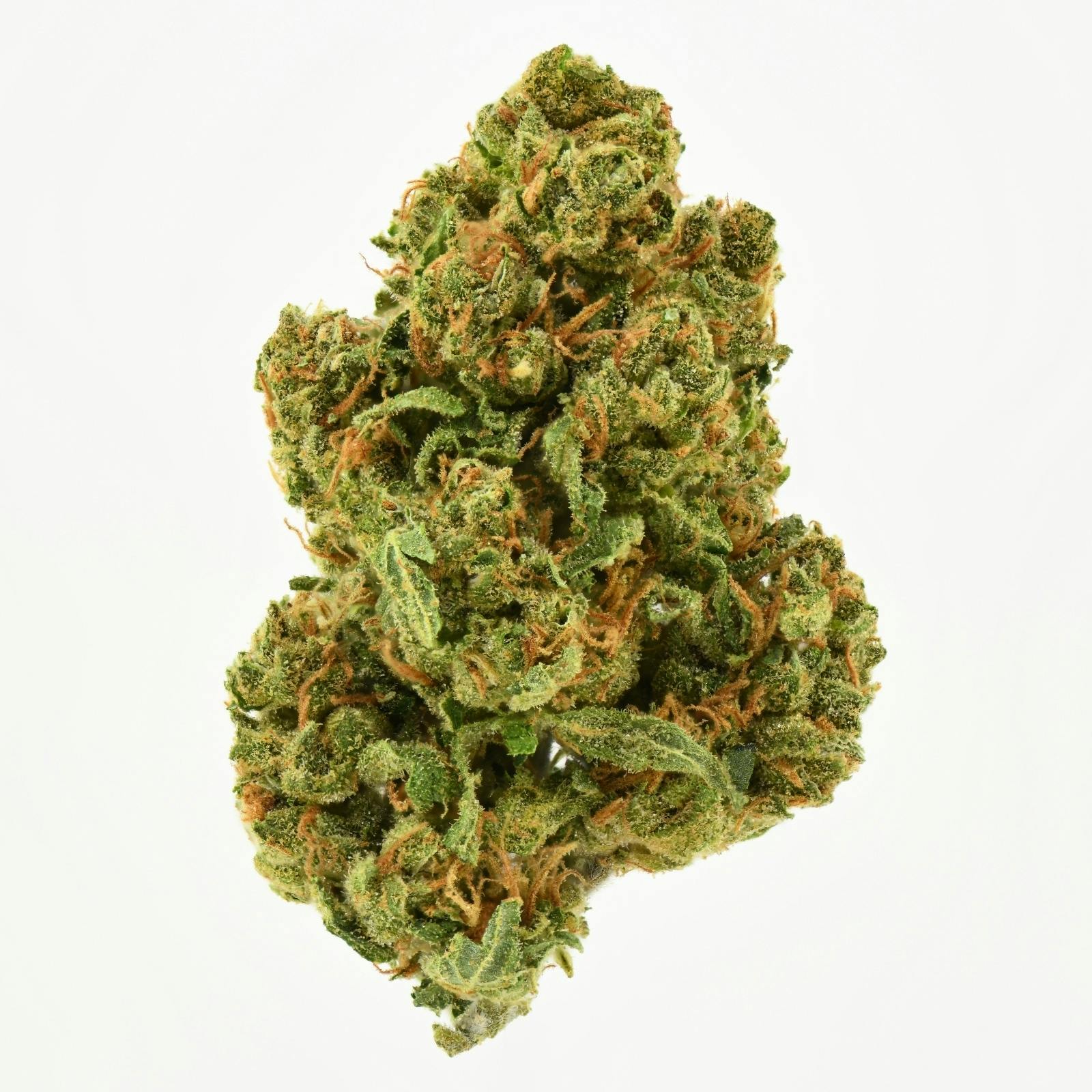 SSL Flower - Judge Dread