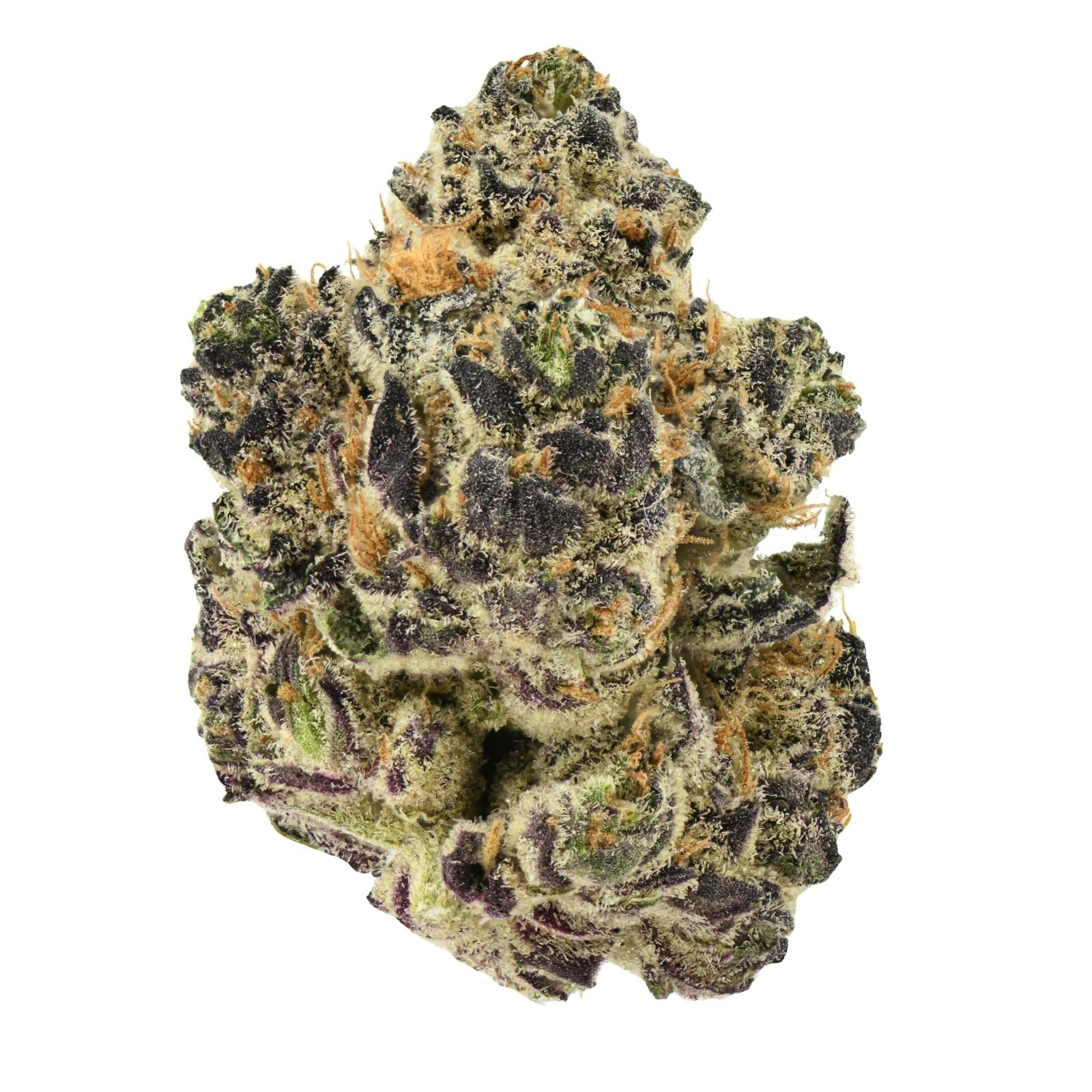OSG Flower | Government Oasis