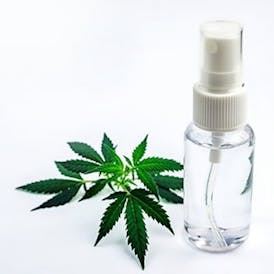 Dos Gringos Pain Spray 1000mg 1:1:1 THC