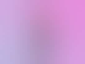 CannaPeak Summit - Forbidden Jelly 1oz (28 Gram) (Indica-Hybrid) Pre-Pack