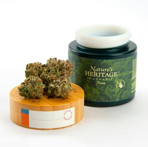 NH Chestah the Cheetah 7g Popcorn $60