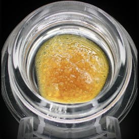 BZ Jenny D LR Sauce 1.0g $50