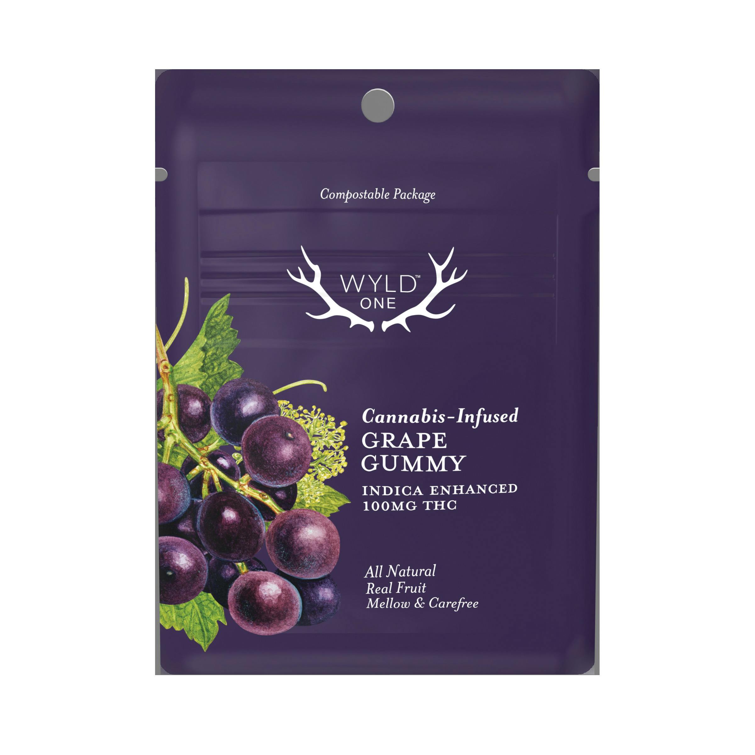 Wyld One Raspberry Lime Gummies 1:1 THC:CBD 200mg/.2