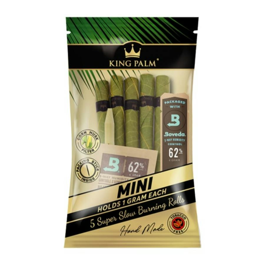 King Palm - 5 Pack