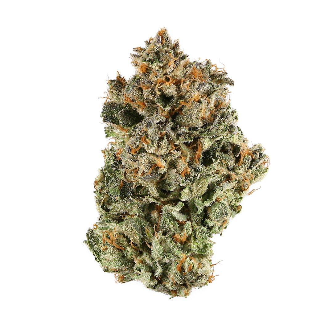 Gorilla Sherbet