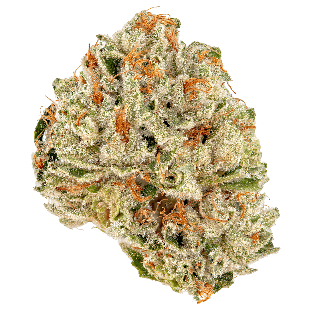 Gelato Cake