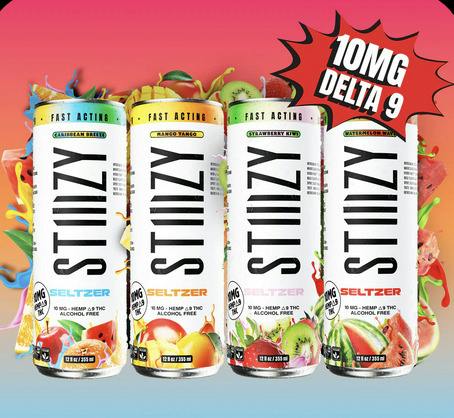 Stiizy Seltzer | Watermelon Wave at MN Roots Dispensary - Crosslake