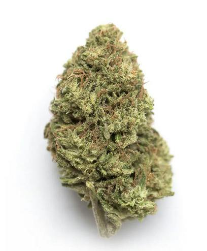 Campfire Cannabis | Flower | Poison Gushers at MN Roots Dispensary - Jenkins