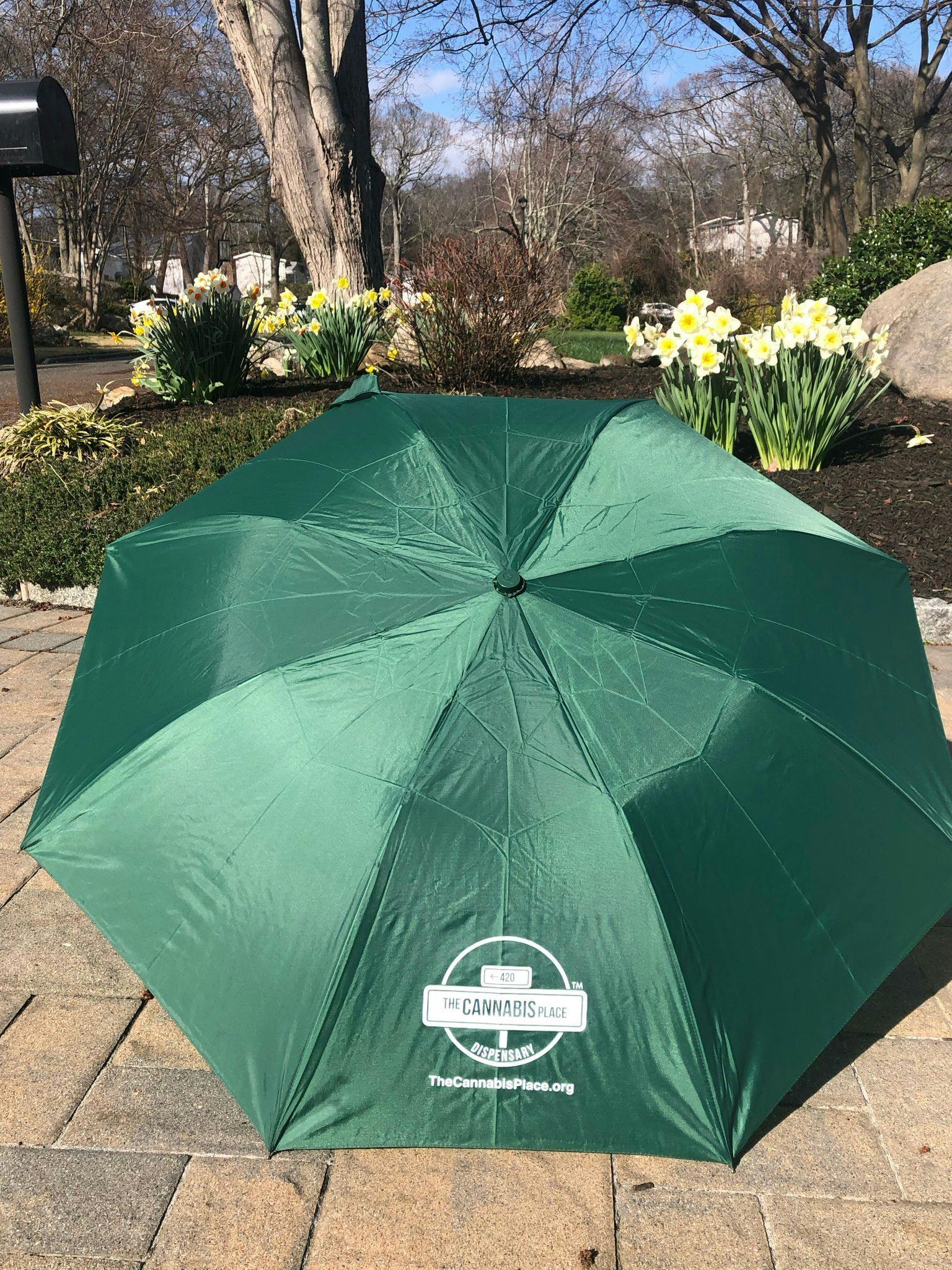 The Place Folding Umbrella Auto Open 42