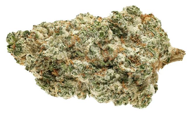 PURE SUNFARMS | Kush God | Indica | 28g