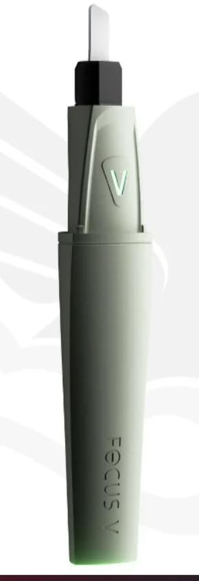 FOCUS V | Saber | Mint