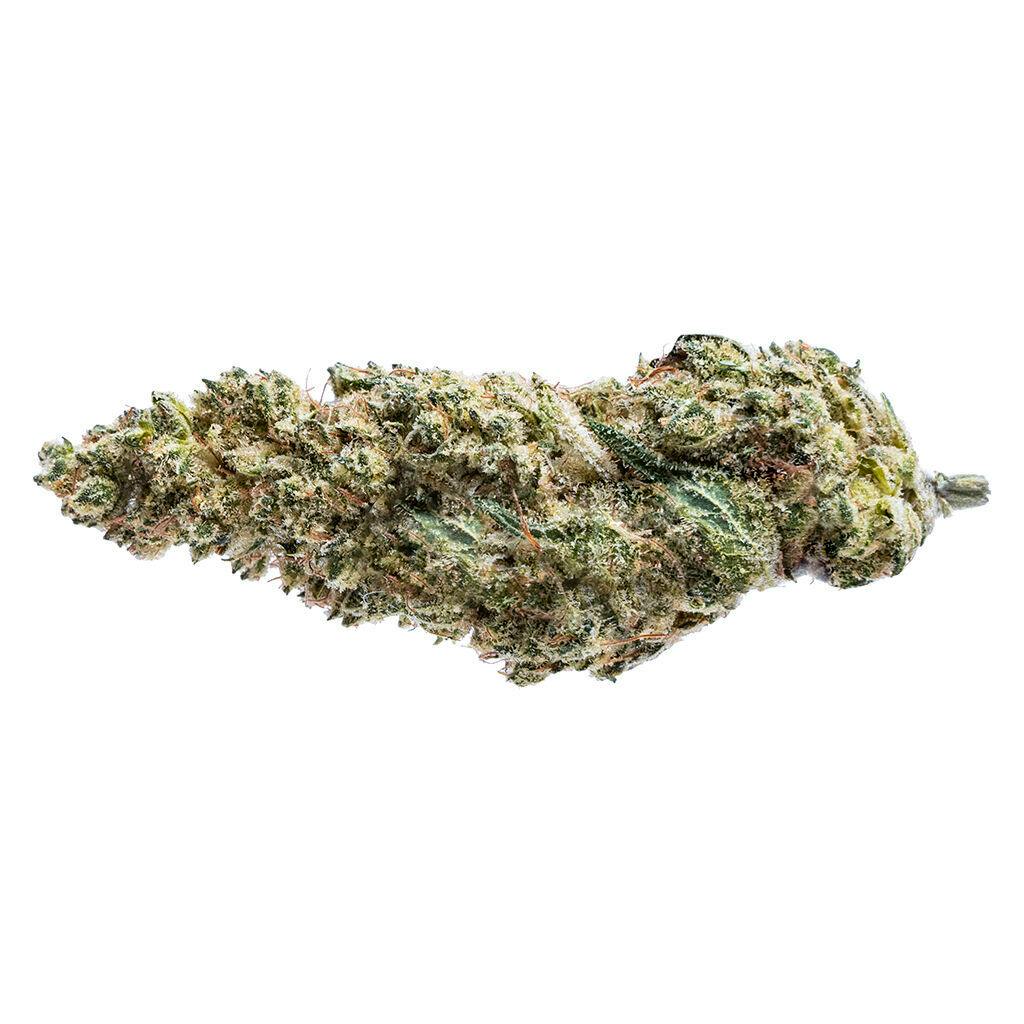 PURE SUNFARMS | Blue Dream #16 | Sativa | 28g