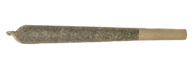 XPLOR | Level X Watermelon G-Bear Distillate Infused Pre-Roll | Indica | 1x1g