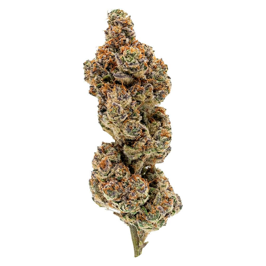 OVERTIME | Payday Pack | Hybrid | 28g