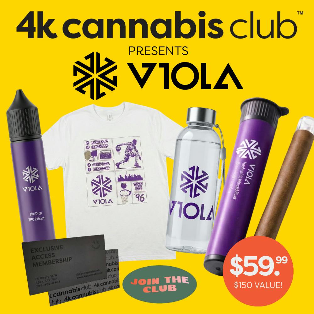 4k Cannabis Club July 2026 | VIOLA
