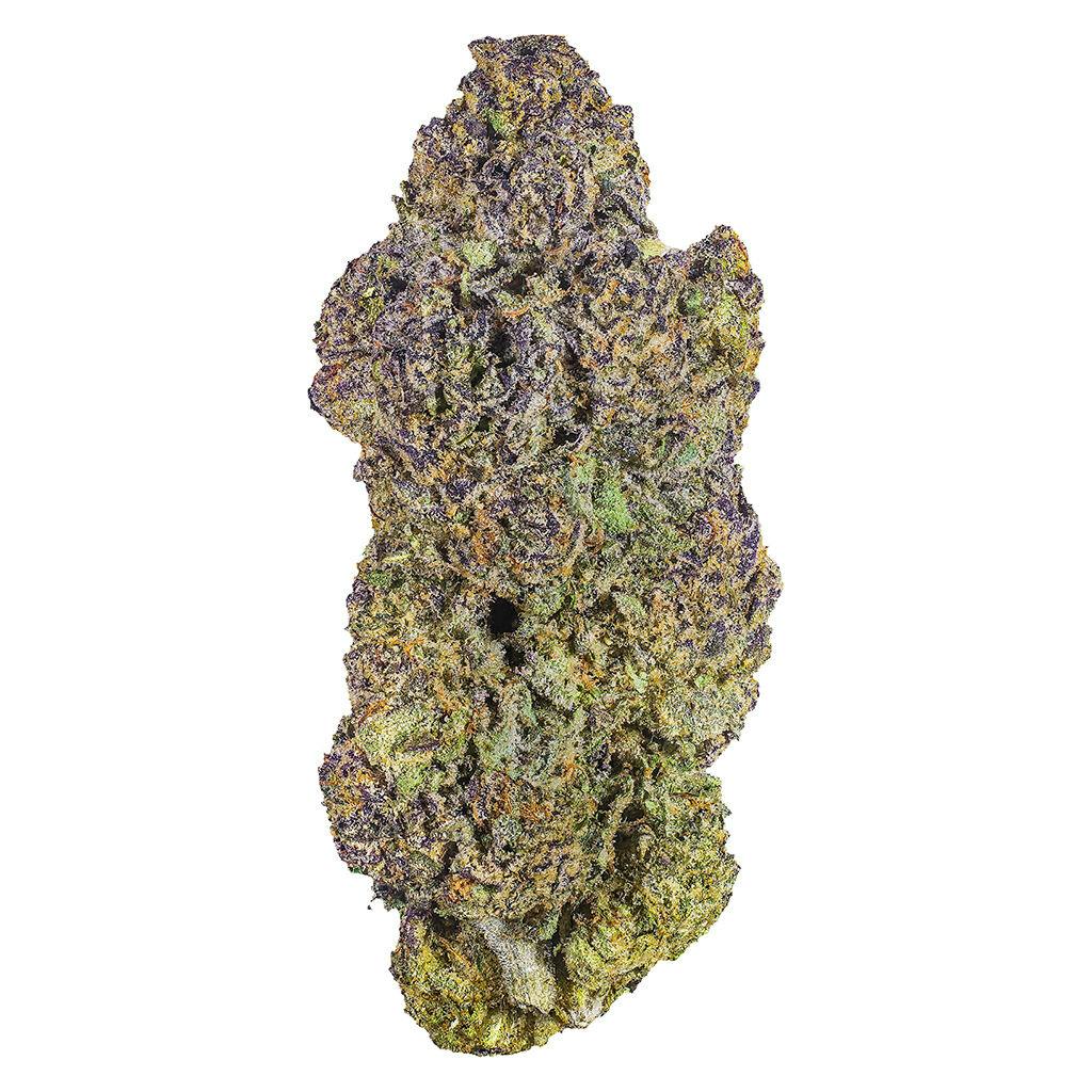 HIGHXOTIC | Royal Dive #6 Vanta Black | Indica | 14g