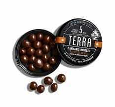 Kiva Confections - Terra: Dark Espresso Beans . - Terra Bites