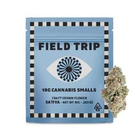 Field Trip: Turbo Durban